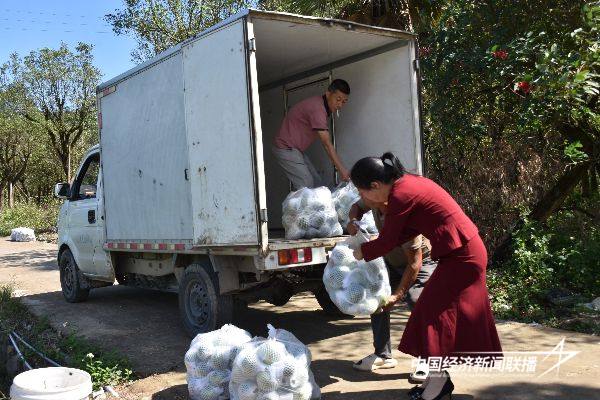 20241031华安1 (1).jpg?x-oss-process=style/water