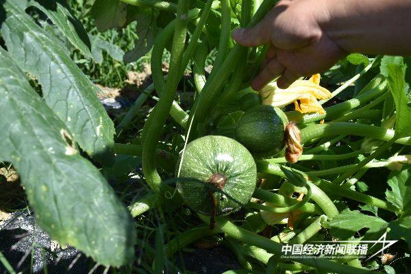 20241031华安2 (1).jpg?x-oss-process=style/water