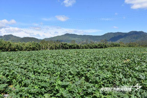 20241031华安3 (1).jpg?x-oss-process=style/water