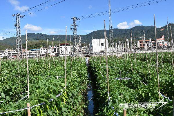 20241031华安5 (1).jpg?x-oss-process=style/water