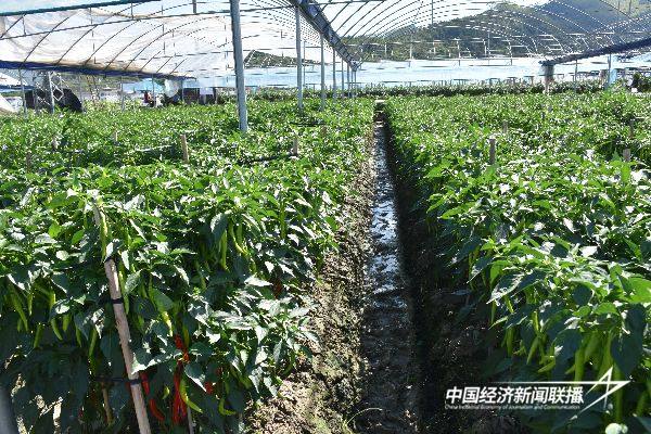 20241031华安6 (1).jpg?x-oss-process=style/water