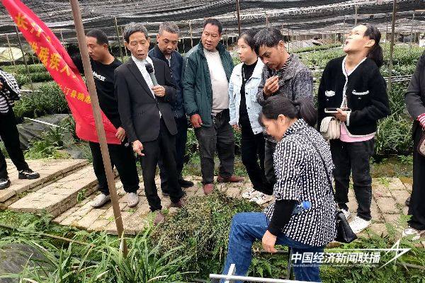 20241104 长汀县2024年度农村困难残疾人实用技术培训班4.jpg?x-oss-process=style/water