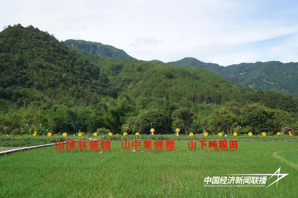 20241101永泰1 (1).jpg?x-oss-process=style/water