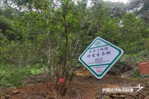 20241101永泰3 (1).jpg?x-oss-process=style/water