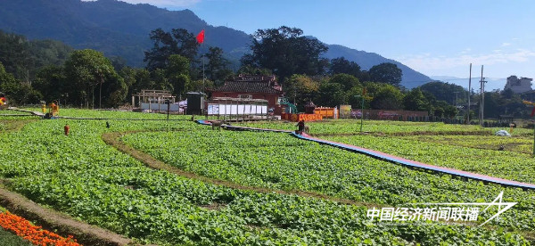 20241101永泰9 (1).jpg?x-oss-process=style/water