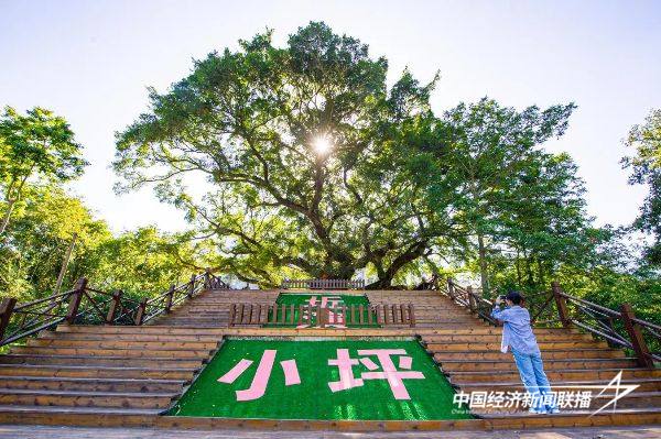 20241101永泰14 (1).jpg?x-oss-process=style/water