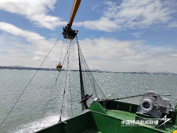 20241107  厦门市海洋与渔业综合执法支队：多措并举守护禁渔区2.jpg?x-oss-process=style/water