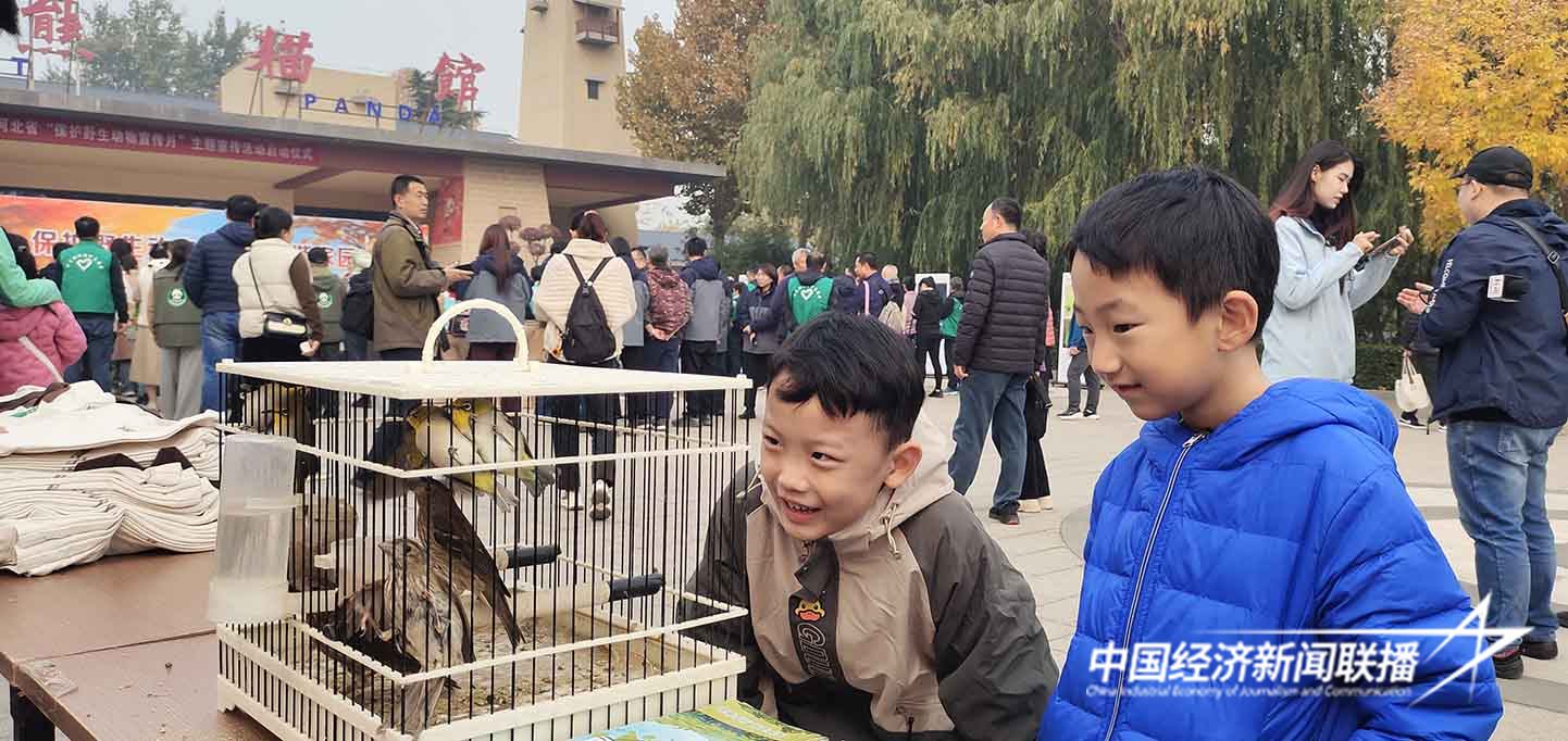 13.jpg?x-oss-process=style/water