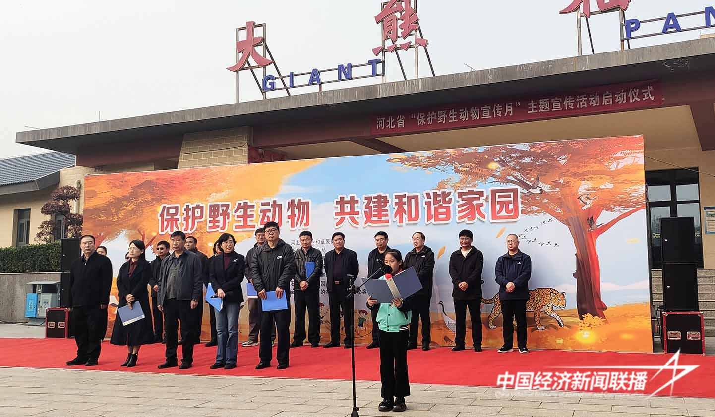 17.jpg?x-oss-process=style/water