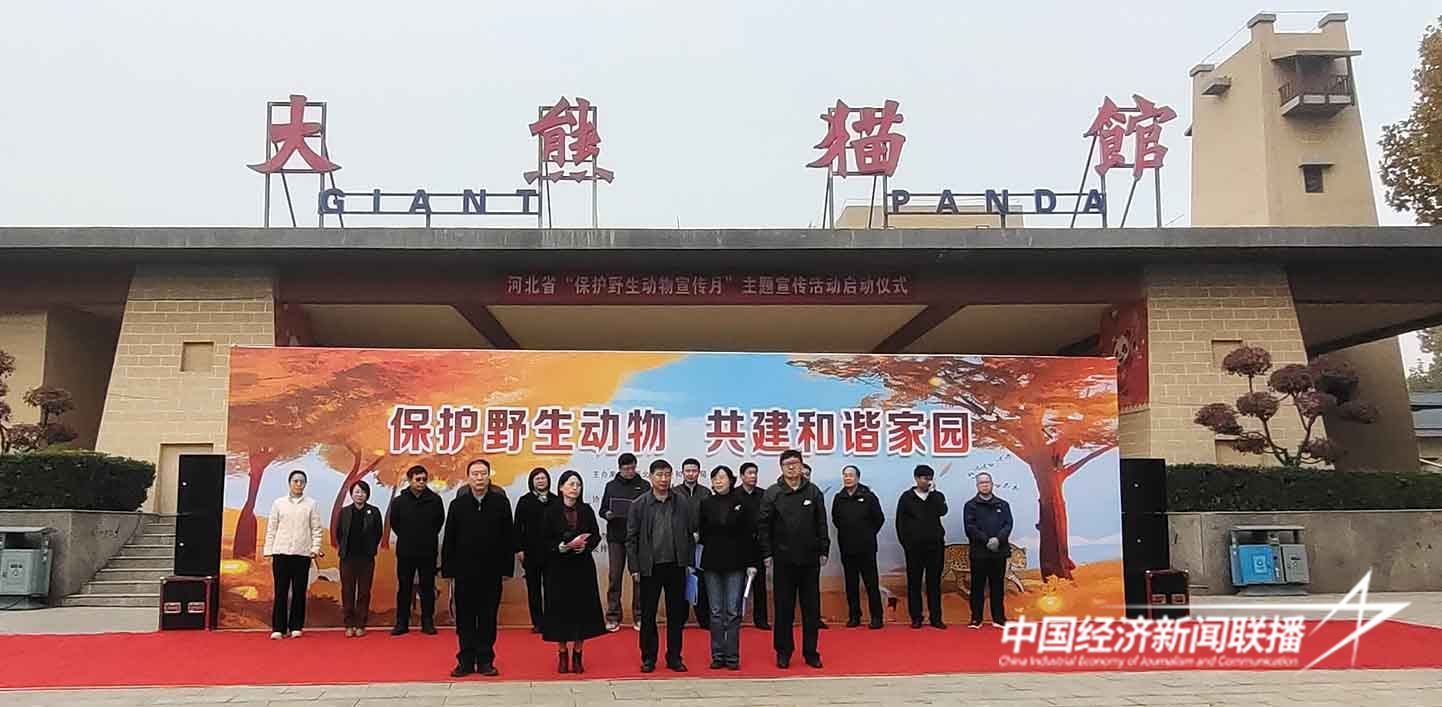 15.jpg?x-oss-process=style/water