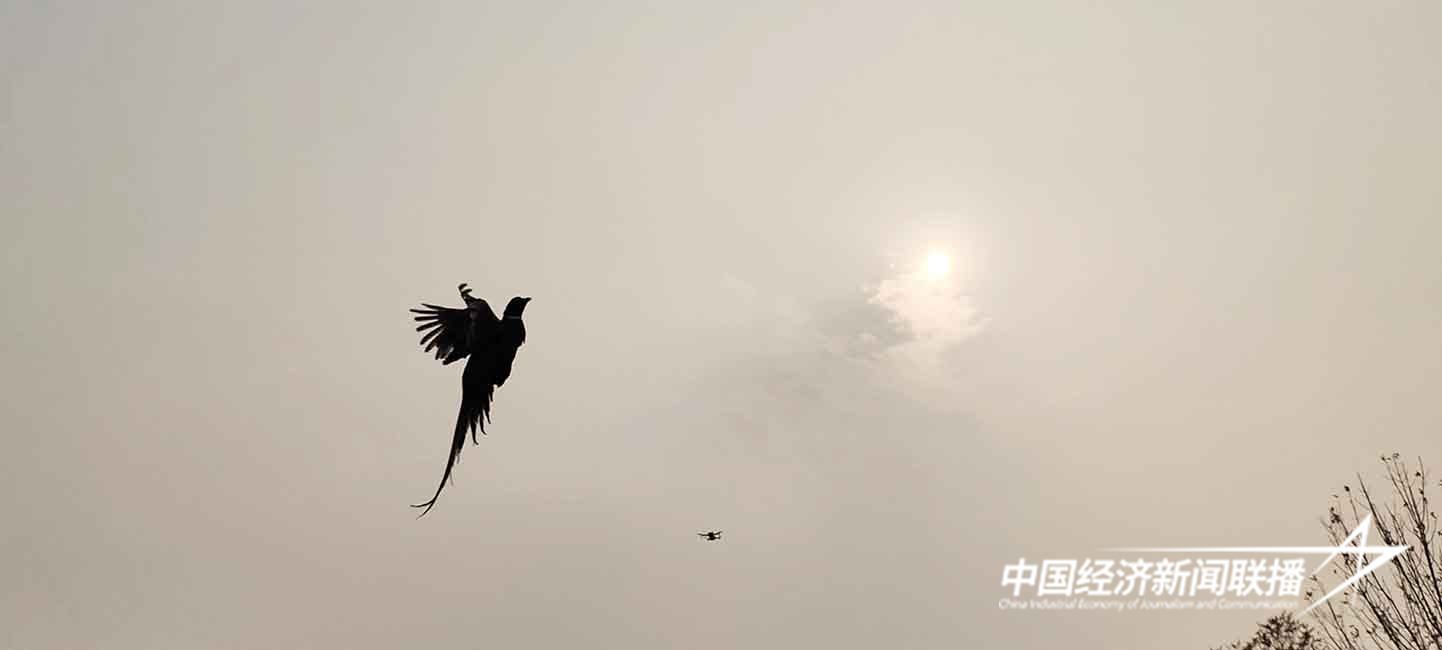 5.jpg?x-oss-process=style/water