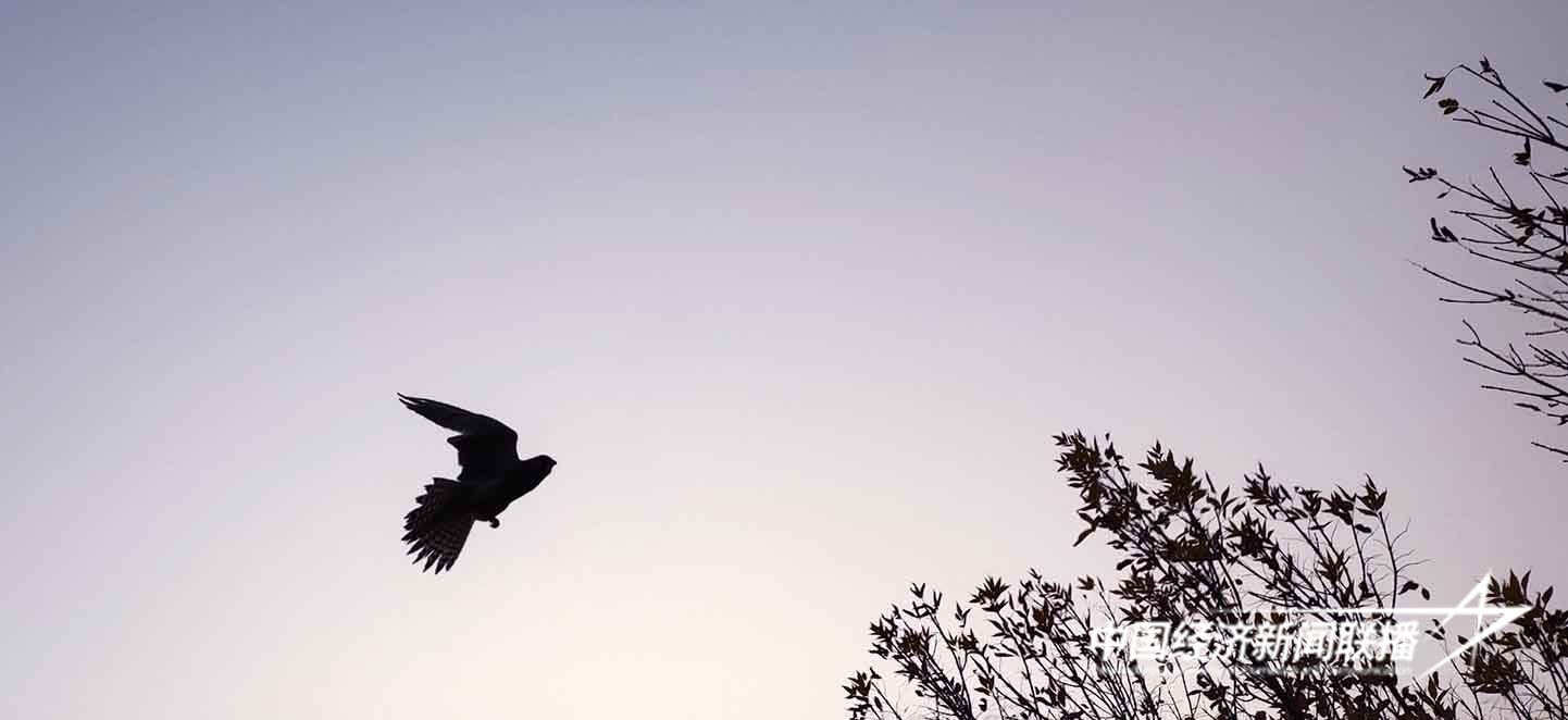 9.jpg?x-oss-process=style/water