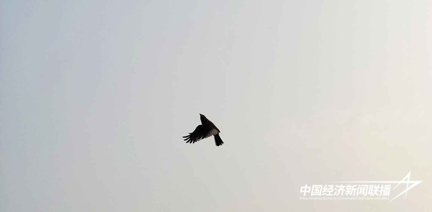 8.jpg?x-oss-process=style/water