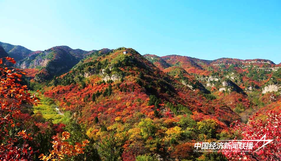 图片1.jpg?x-oss-process=style/water 图片1.jpg?x-oss-process=style/water