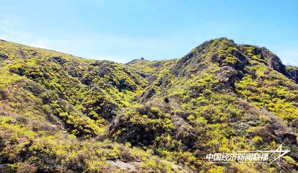 图片2.jpg?x-oss-process=style/water 图片2.jpg?x-oss-process=style/water