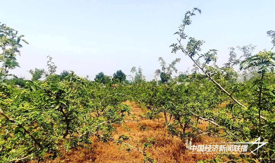 图片3.jpg?x-oss-process=style/water 图片3.jpg?x-oss-process=style/water