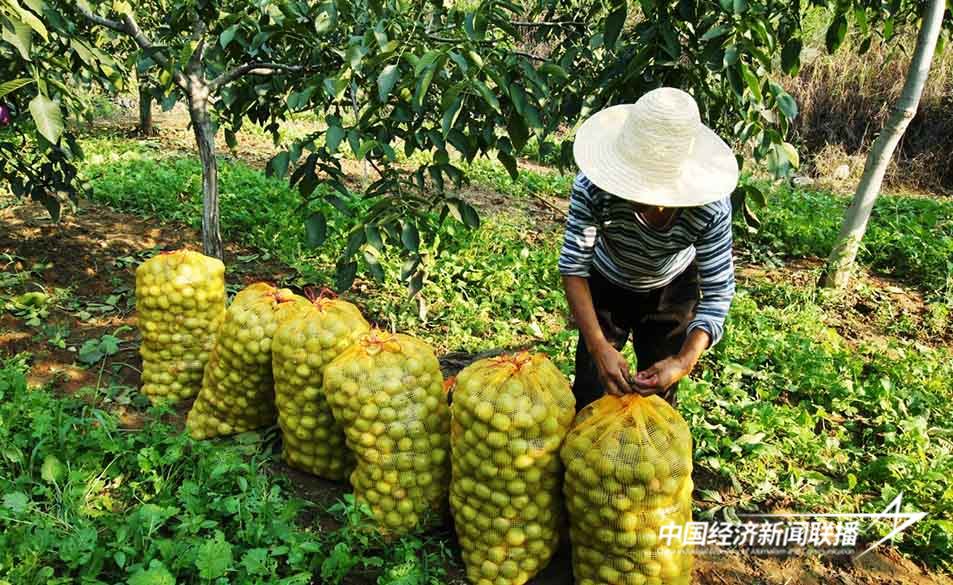 图片3.jpg?x-oss-process=style/water