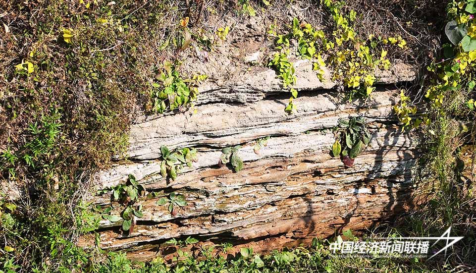 微信图片_20241114094422.jpg?x-oss-process=style/water