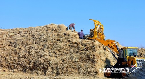 d88ddb842acfb515ceb008cef7b63c2.jpg?x-oss-process=style/water