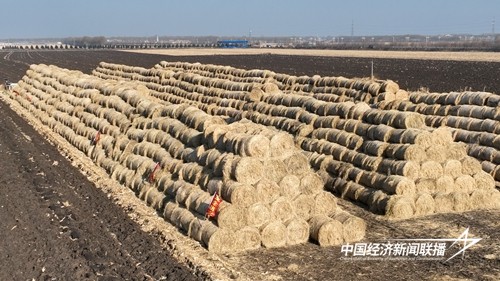 980f62daba12d75a1abef058ec47f70.jpg?x-oss-process=style/water