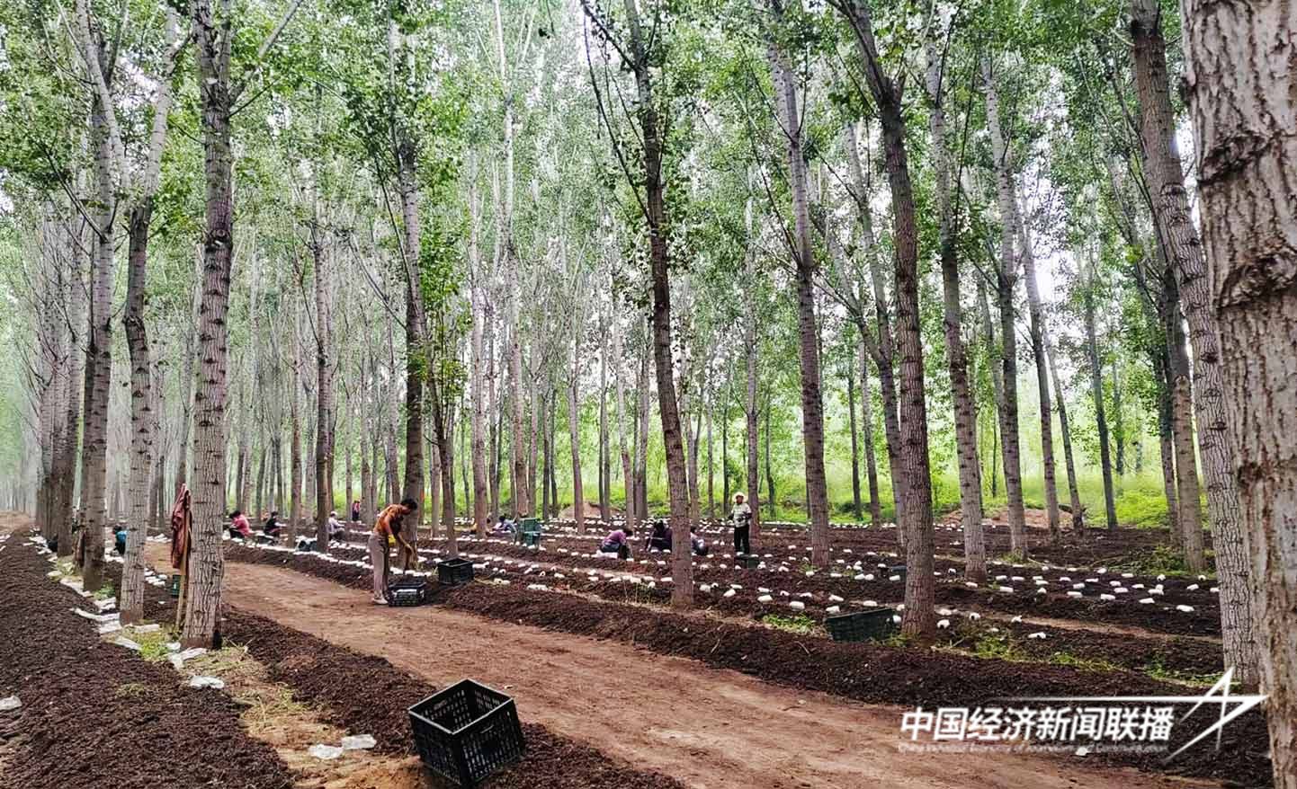 图片1.jpg?x-oss-process=style/water