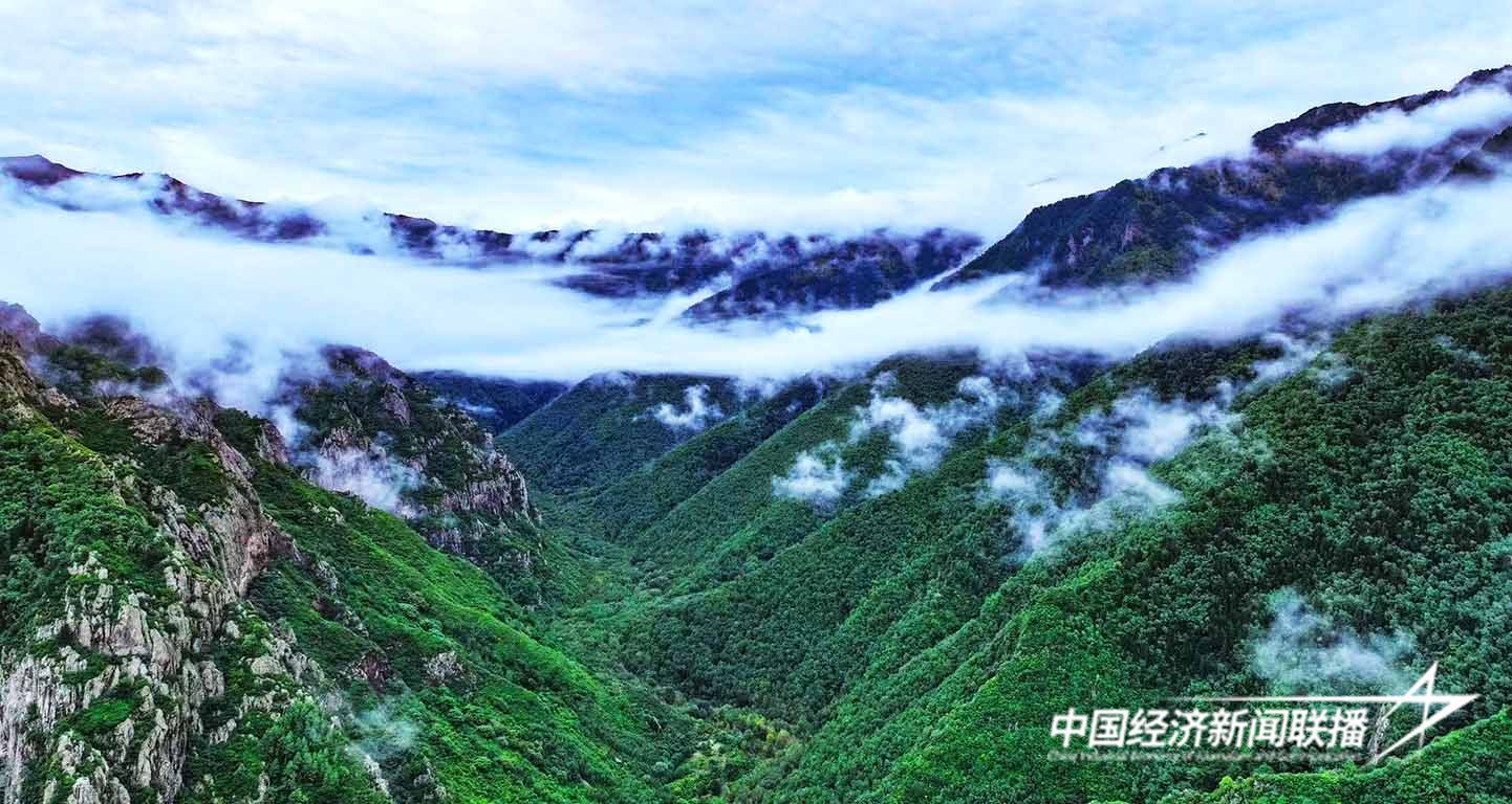 微信图片_20241119101642.jpg?x-oss-process=style/water