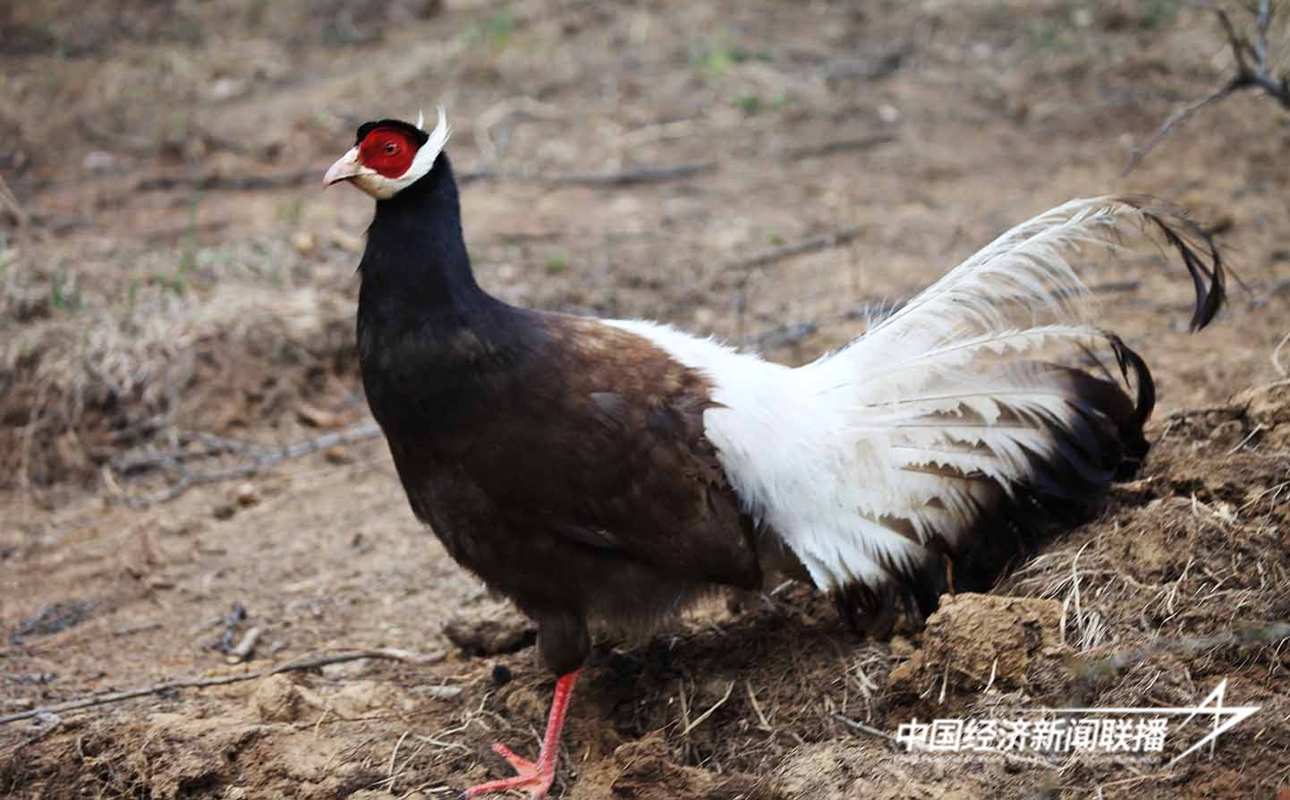 微信图片_20241119101606.jpg?x-oss-process=style/water