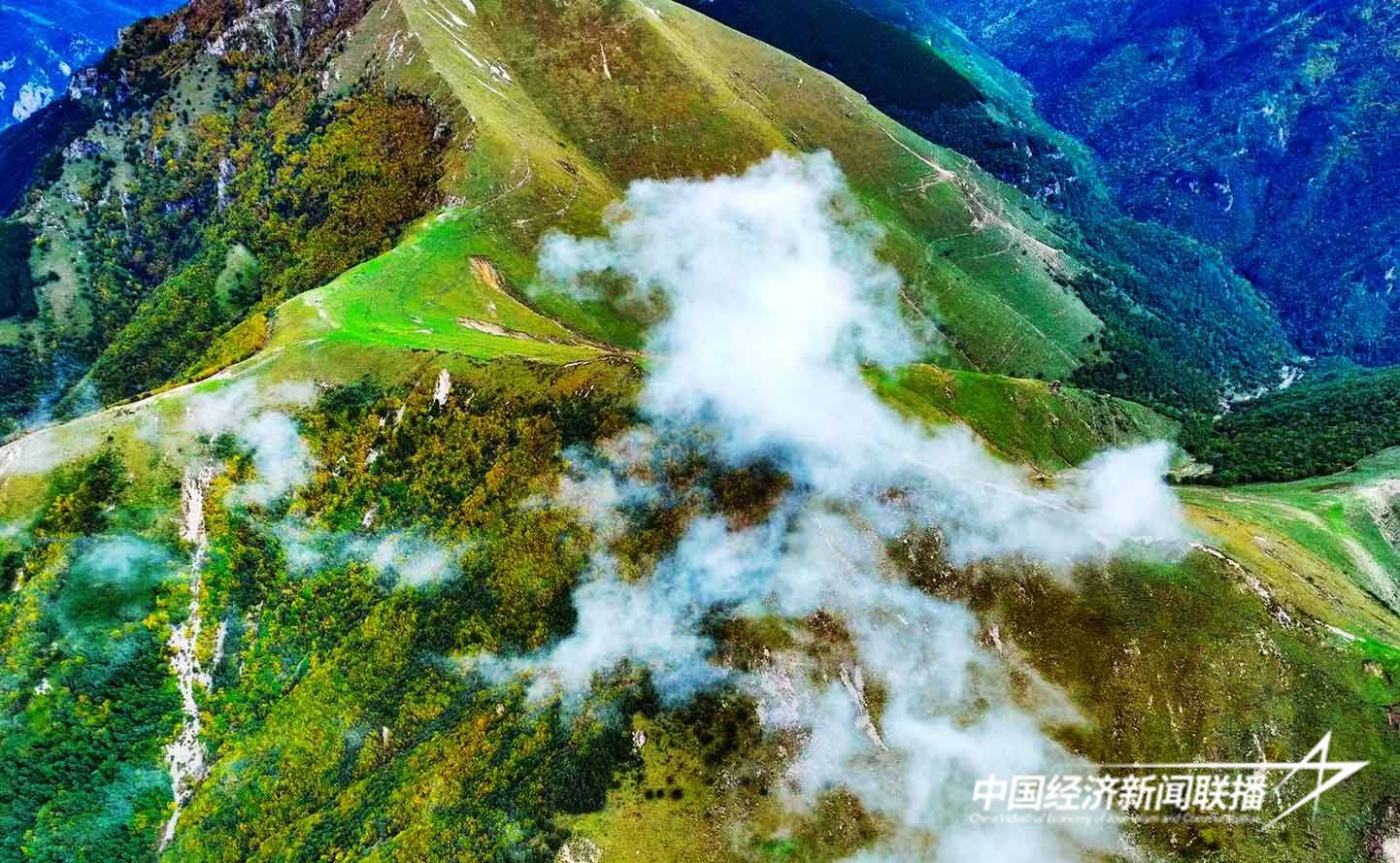 微信图片_20241119101645.jpg?x-oss-process=style/water