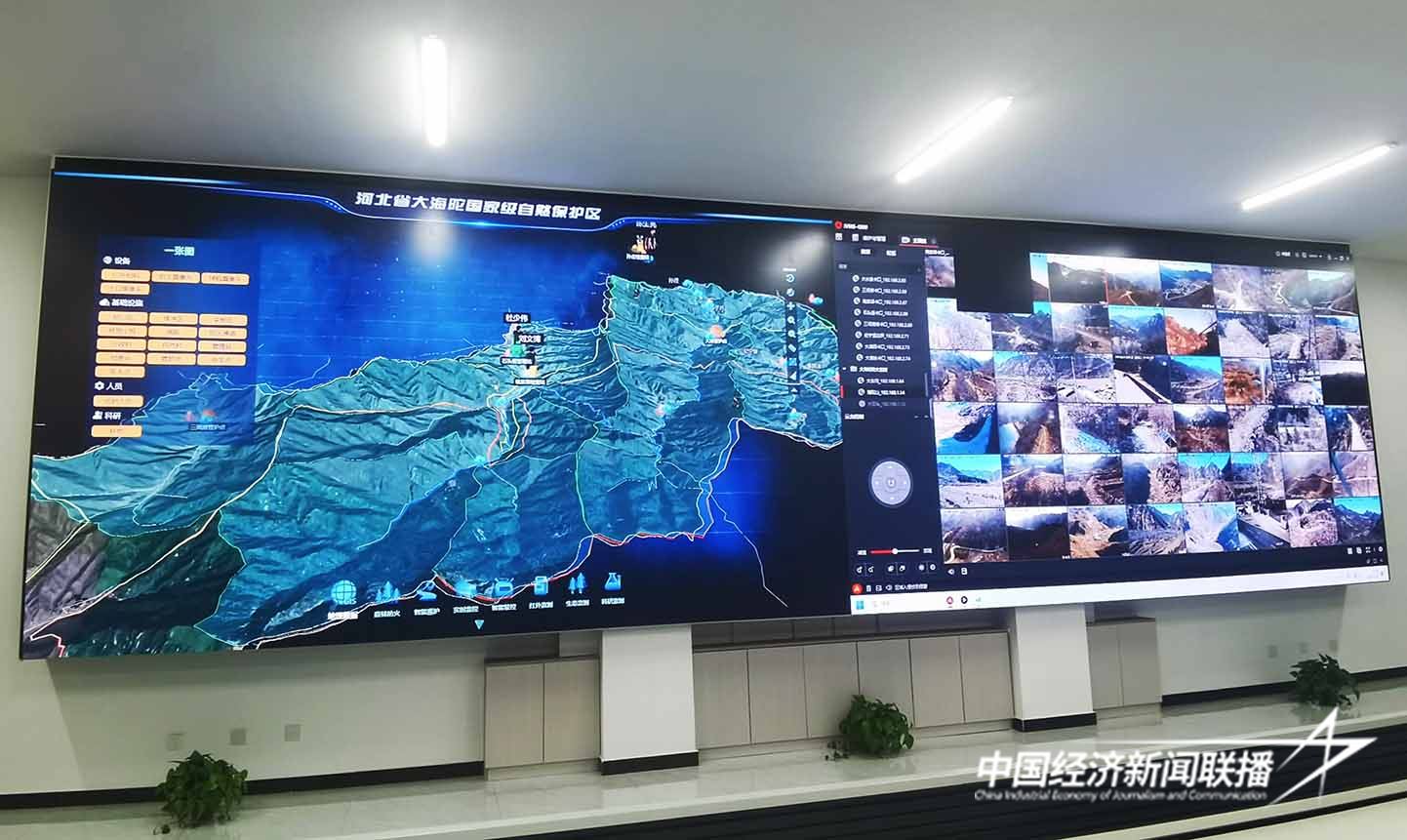 图片3.jpg?x-oss-process=style/water