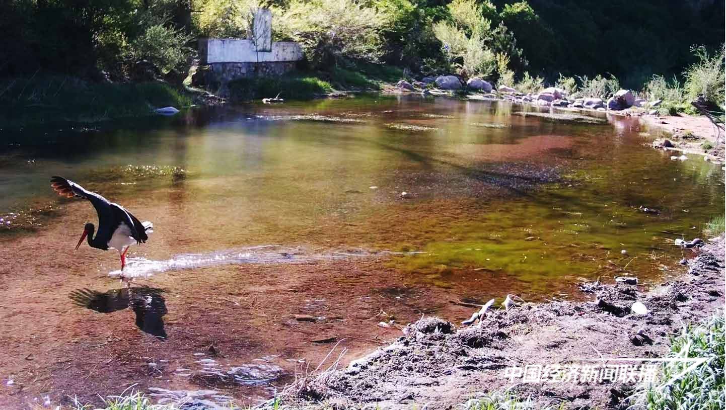 图片1.jpg?x-oss-process=style/water