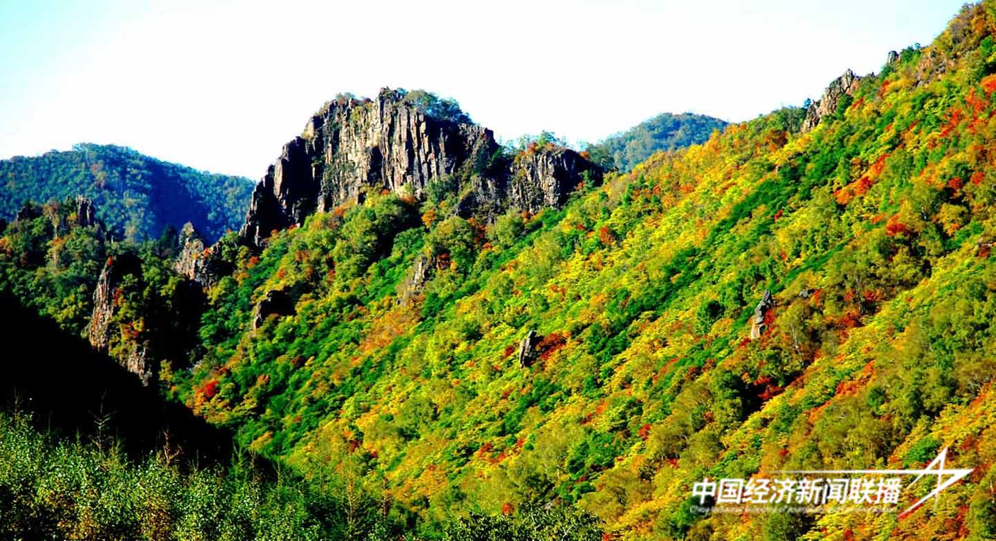 图片2.jpg?x-oss-process=style/water