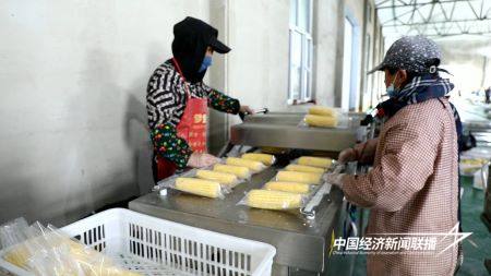 11.jpg?x-oss-process=style/water