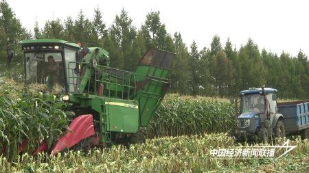 12.jpg?x-oss-process=style/water