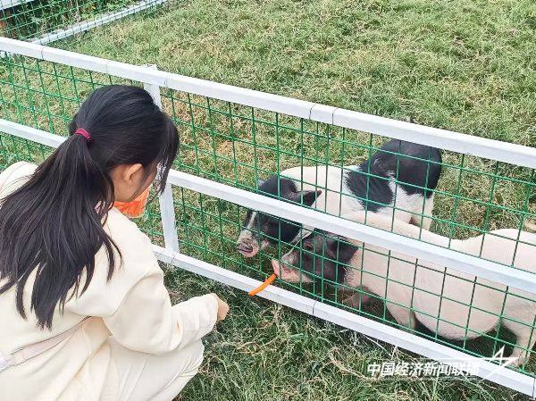 微信图片_20241120171719.jpg?x-oss-process=style/water