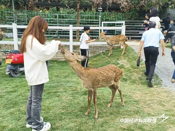 微信图片_20241120171716.jpg?x-oss-process=style/water