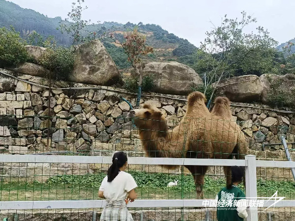 微信图片_20241111172935.jpg?x-oss-process=style/water