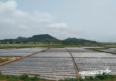 3.jpg?x-oss-process=style/water