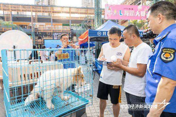 20241127厦门城管6 (1).jpg?x-oss-process=style/water