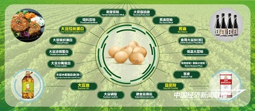 图片3.jpg?x-oss-process=style/water