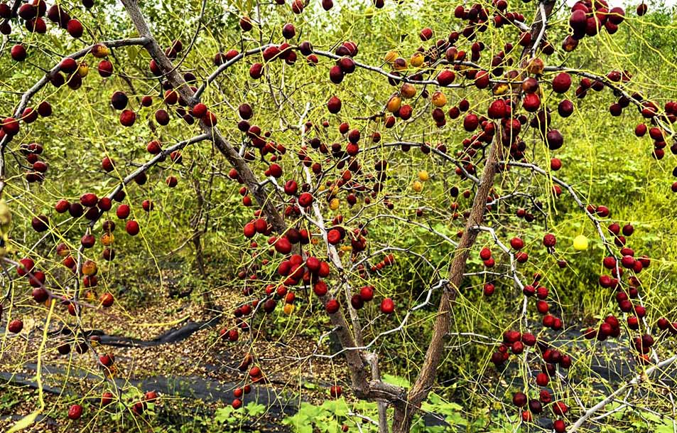 图片1.jpg 图片1.jpg