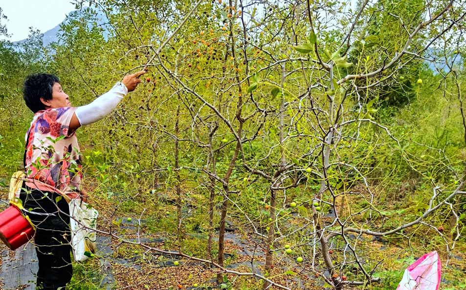 图片2.jpg 图片2.jpg