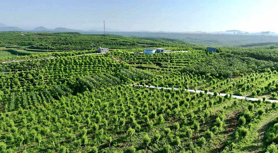 图片4.jpg 图片4.jpg