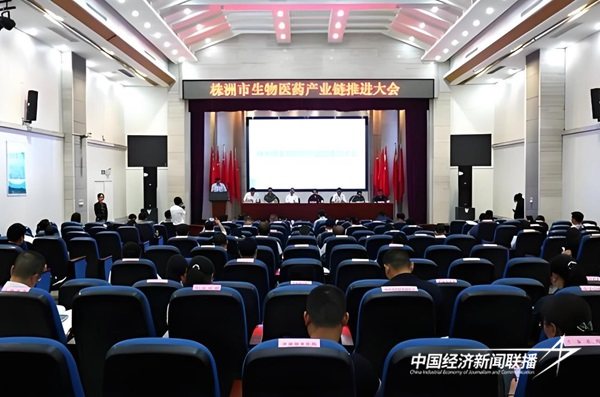 2.jpg?x-oss-process=style/water