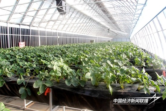 snapshot20241206152700.jpg?x-oss-process=style/water