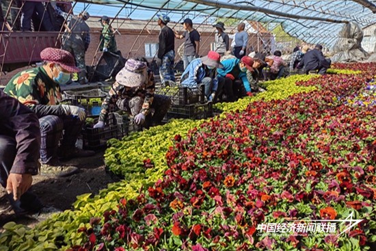 4 (2)_副本.jpg?x-oss-process=style/water