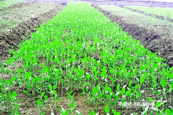 微信图片_20241206153602.jpg?x-oss-process=style/water