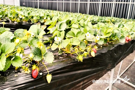 微信图片_20241206153556.jpg?x-oss-process=style/water