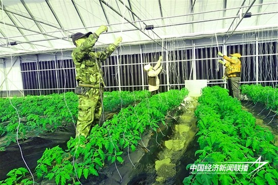 微信图片_20241206153607.jpg?x-oss-process=style/water