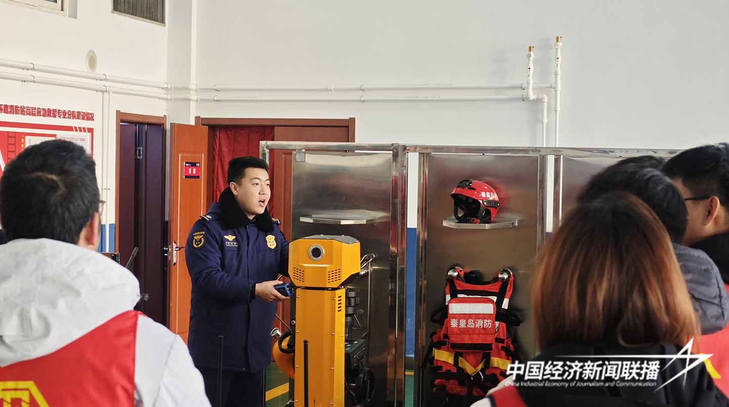 河北永年洼湿地又现世界极危物种青头潜鸭 摄影 董民5.JPG