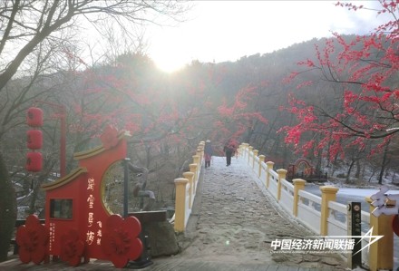 七大主题4.jpg?x-oss-process=style/water